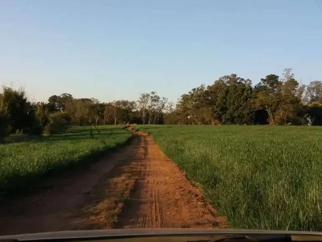 Fazenda venda em Região Imediata de Itapetininga, Região Metropolitana de Sorocaba