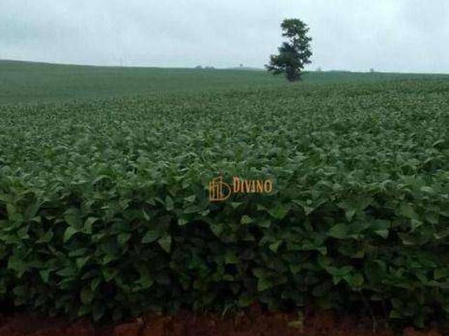 Fazenda venda em Região Imediata de Itapetininga, Região Metropolitana de Sorocaba