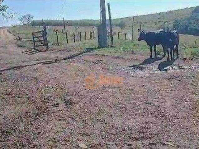 Fazenda venda em Região Imediata de Itapetininga, Região Metropolitana de Sorocaba