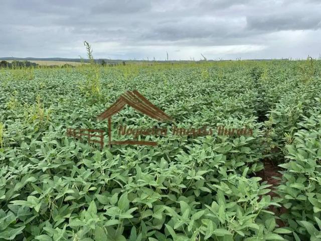 Fazenda venda em Região Imediata de Itapetininga, Região Metropolitana de Sorocaba