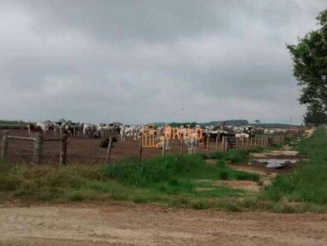 Fazenda venda em Região Imediata de Itapetininga, Região Metropolitana de Sorocaba