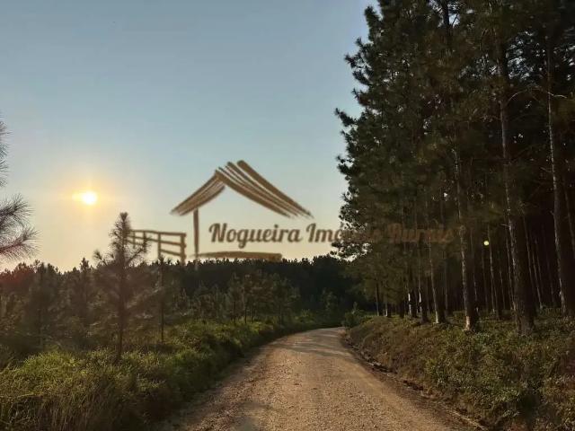 Fazenda venda em Região Imediata de Itapetininga, Região Metropolitana de Sorocaba