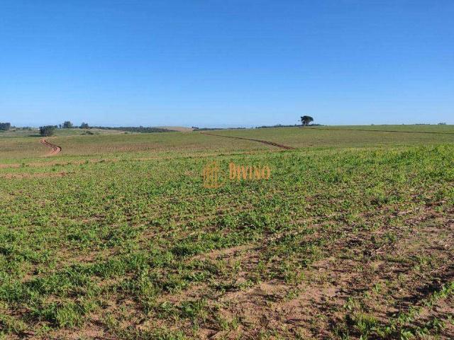 Fazenda venda em Região Imediata de Itapetininga, Região Metropolitana de Sorocaba