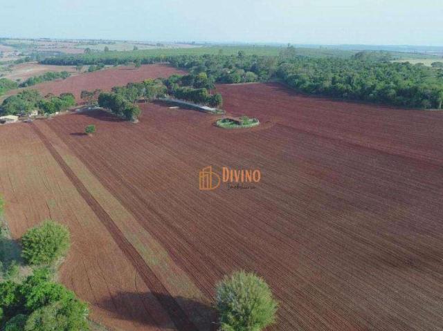 Fazenda venda em Região Imediata de Itapetininga, Região Metropolitana de Sorocaba