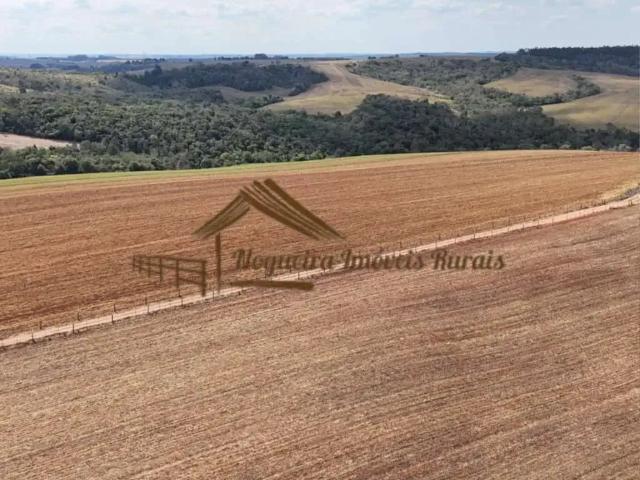 Fazenda venda em Região Imediata de Itapetininga, Região Metropolitana de Sorocaba