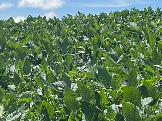 Fazenda venda em Região Imediata de Itapetininga, Região Metropolitana de Sorocaba