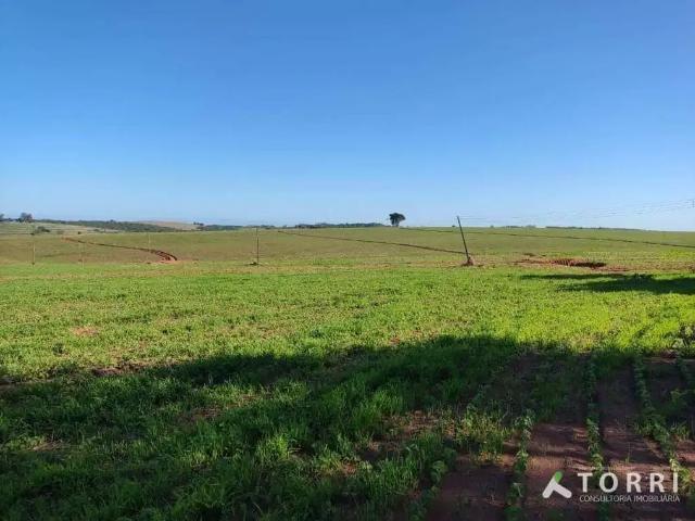 Fazenda venda em Região Imediata de Itapetininga, Região Metropolitana de Sorocaba