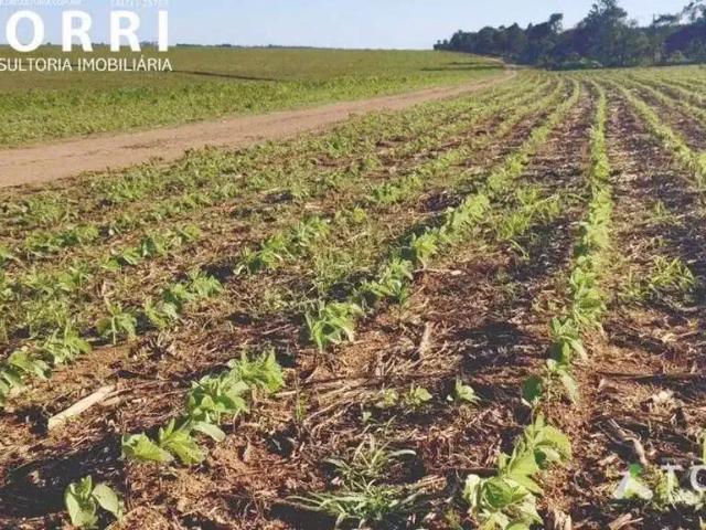 Fazenda venda em Região Imediata de Itapetininga, Região Metropolitana de Sorocaba