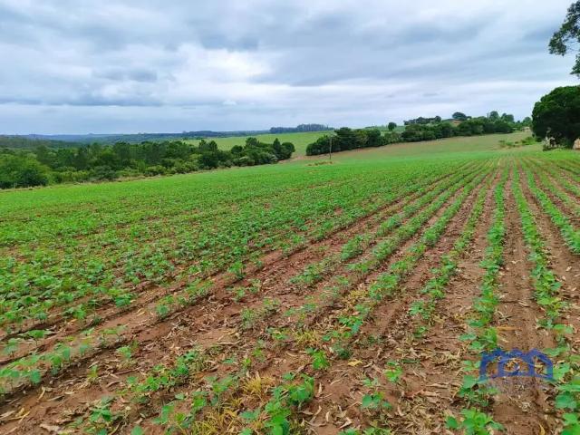 Fazenda venda em Região Imediata de São José dos Campos, Região Metropolitana do Vale do Paraíba e Litoral Norte