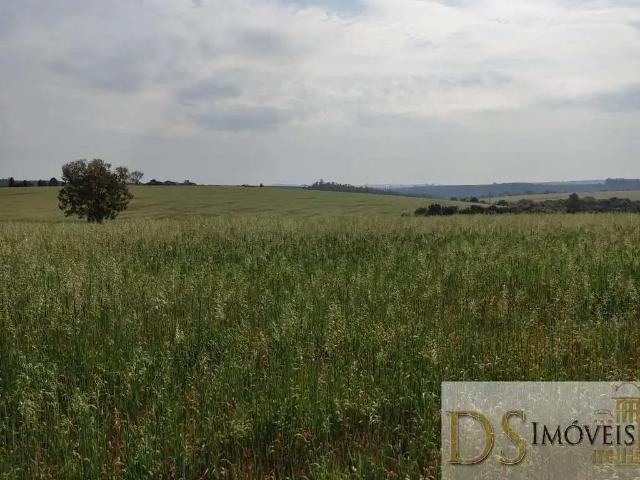 Fazenda venda em Região Imediata de Sorocaba, Região Metropolitana de Sorocaba