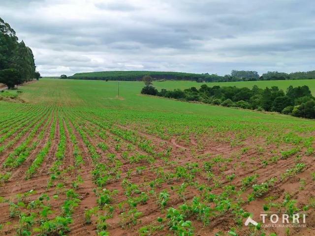 Fazenda venda em Região Imediata de Itapetininga, Região Metropolitana de Sorocaba