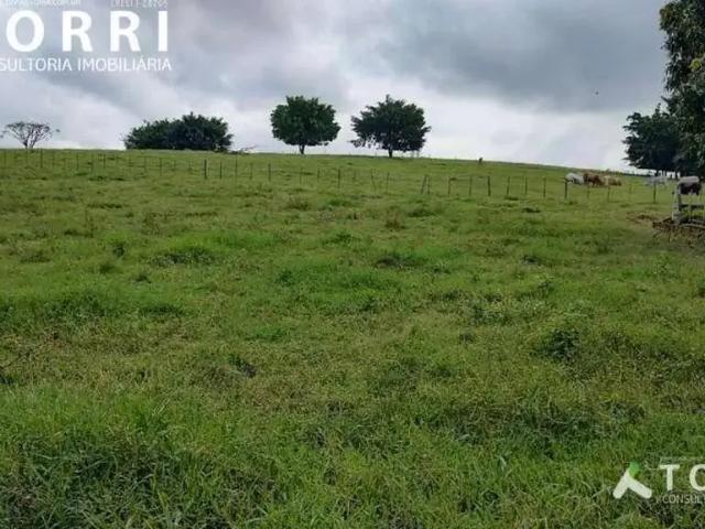Fazenda venda em Região Imediata de Itapetininga, Região Metropolitana de Sorocaba
