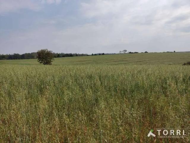 Fazenda venda em Região Imediata de Itapetininga, Região Metropolitana de Sorocaba