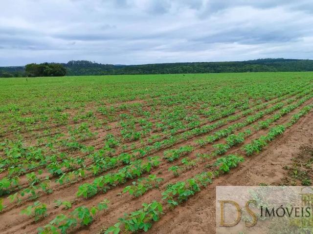 Fazenda venda em Região Imediata de Itapetininga, Região Metropolitana de Sorocaba