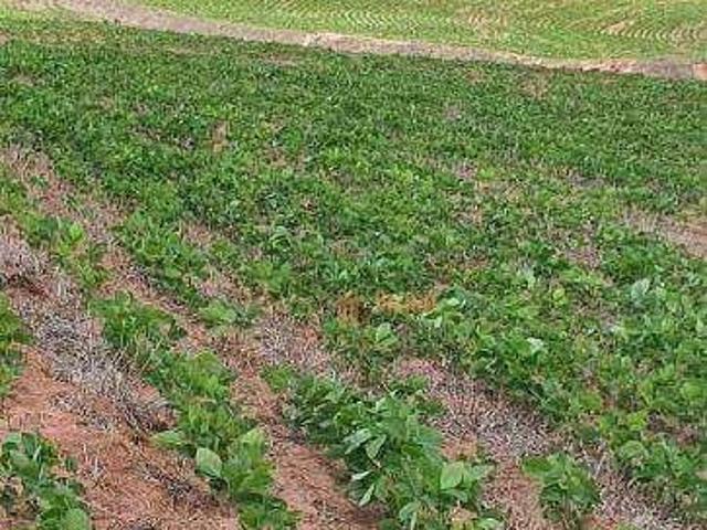 Fazenda venda em Região Imediata de Itapetininga, Região Metropolitana de Sorocaba