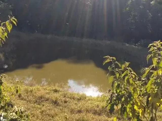 Fazenda venda em Região Imediata de Itapetininga, Região Metropolitana de Sorocaba