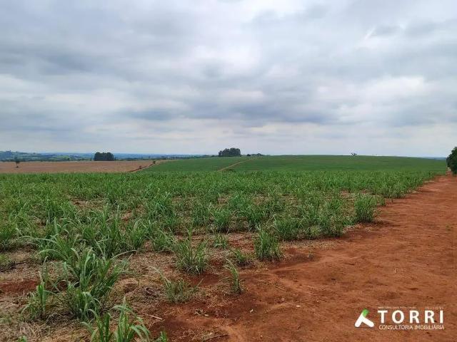 Fazenda venda em Região Imediata de Itapetininga, Região Metropolitana de Sorocaba