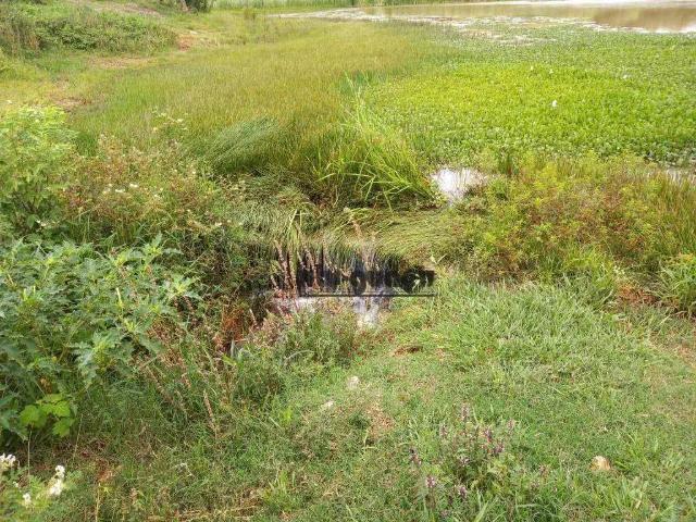 Fazenda venda em Região Imediata de Itapetininga, Região Metropolitana de Sorocaba
