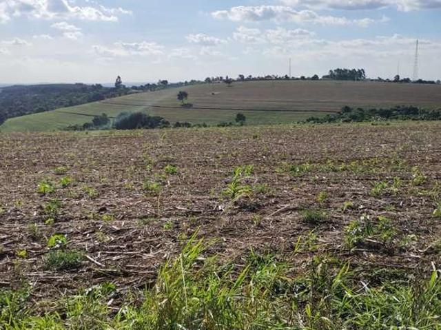 Fazenda venda em Região Imediata de Itapeva, Itapeva