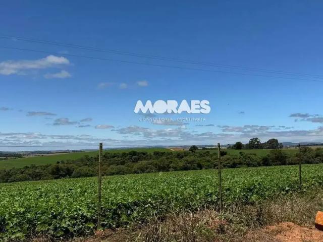 Fazenda venda em Região Imediata de Itapeva, Itapeva