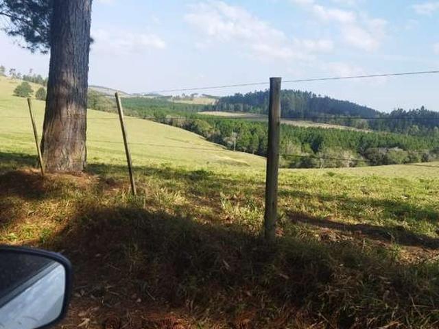 Fazenda venda em Região Imediata de Itapeva, Itapeva