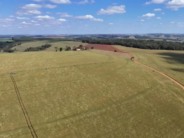Fazenda venda em Região Imediata de Itapeva, Itapeva