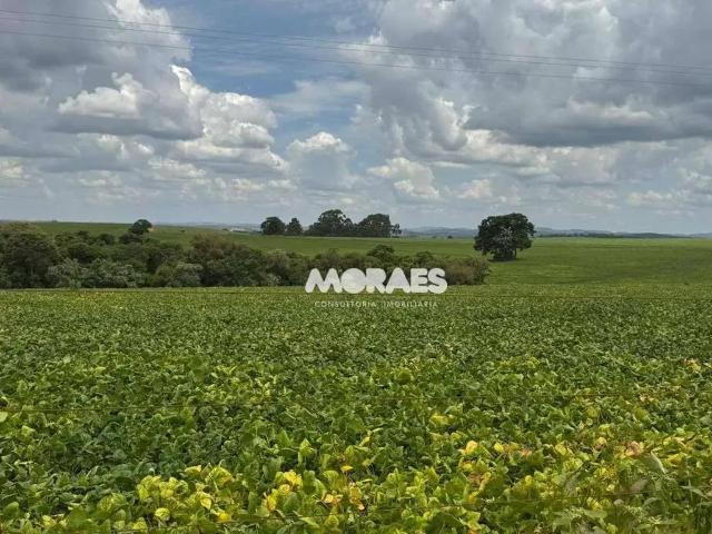 Fazenda venda em Região Imediata de Itapeva, Itapeva