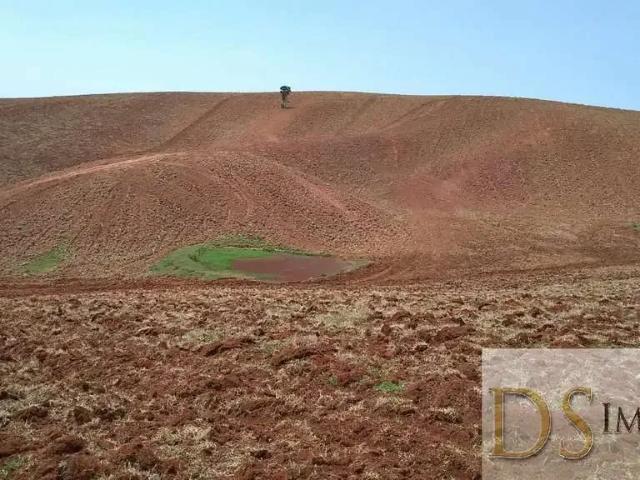 Fazenda venda em Região Imediata de Itapeva, Itapeva