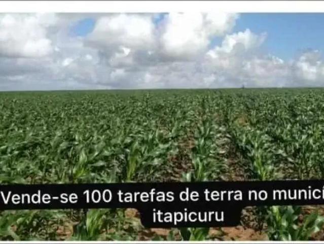 Fazenda venda em Região Geográfica Imediata de Alagoinhas, Itapicuru
