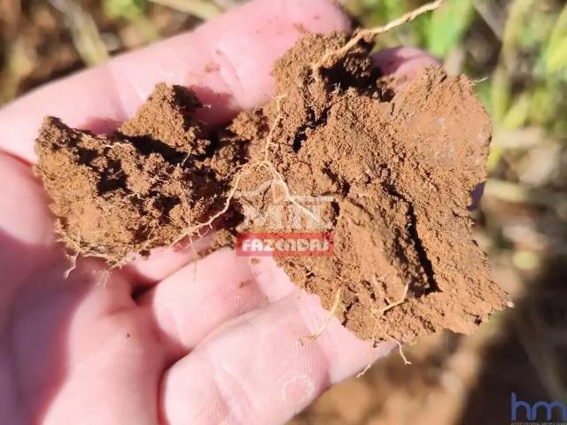 Fazenda venda em Região Geográfica Imediata de Goiás - Itapuranga, Itapirapuã