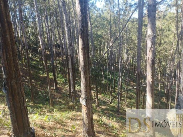 Fazenda venda em Região Imediata de Itapeva, Itapirapuã Paulista