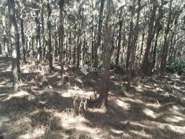 Fazenda venda em Região Imediata de Itapeva, Itapirapuã Paulista