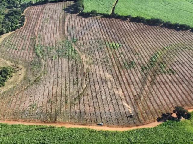 Fazenda venda em Região Imediata de Mogi Guaçu, Itapira