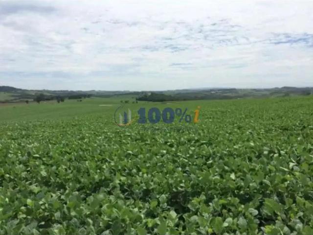 Fazenda venda em Região Imediata de Mogi Guaçu, Itapira