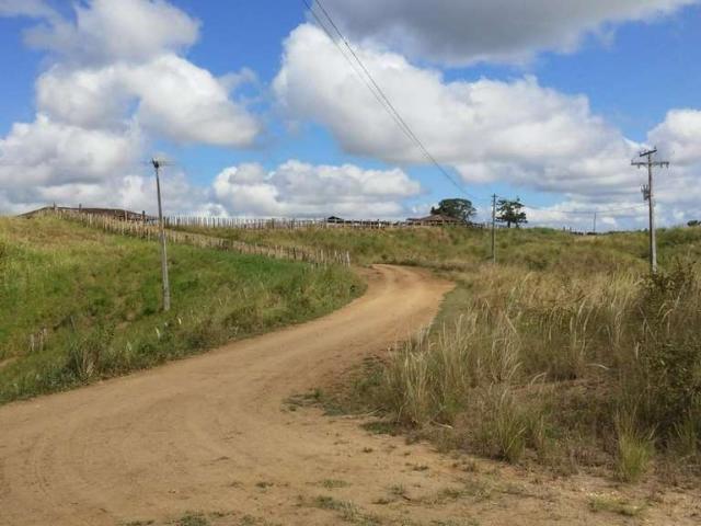 Fazenda venda em Região Imediata de Mogi Guaçu, Itapira