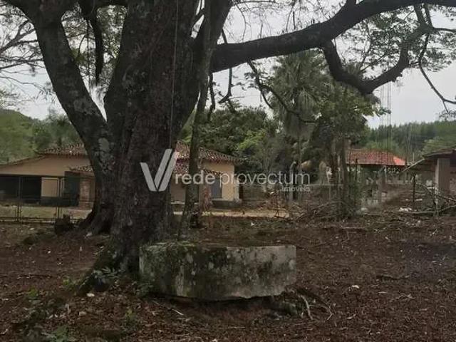 Fazenda venda em Região Imediata de Mogi Guaçu, Itapira