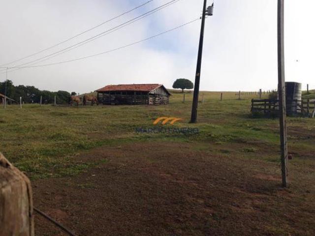 Sítio e chácara venda em Região Imediata de Itapeva, Itaporanga