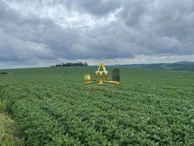 Fazenda venda em Região Imediata de Itapeva, Itaporanga