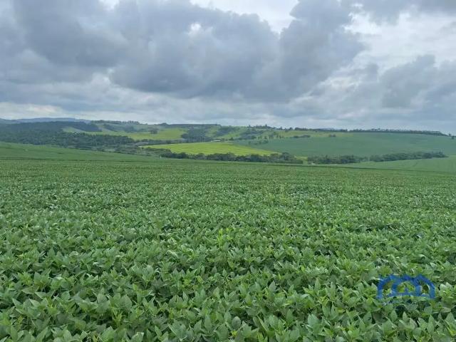 Fazenda venda em Região Imediata de Itapeva, Itaporanga