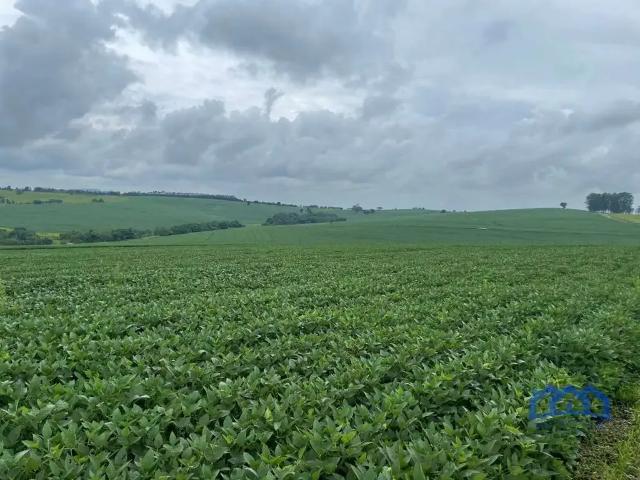 Fazenda venda em Região Imediata de Itapeva, Itaporanga