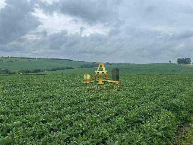 Fazenda venda em Região Imediata de Itapeva, Itaporanga