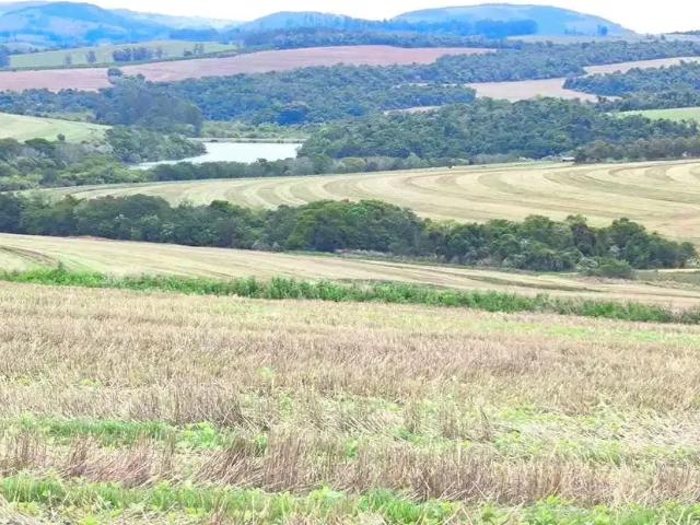 Fazenda venda em Região Imediata de Itapeva, Itaporanga