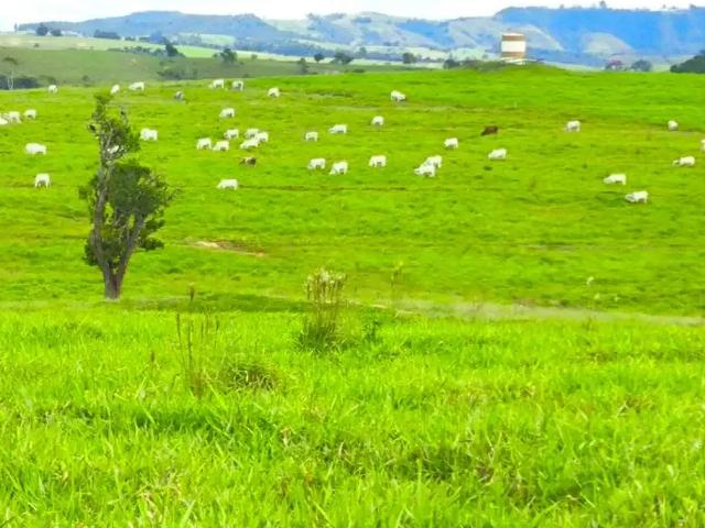 Fazenda venda em Região Imediata de Itapeva, Itaporanga