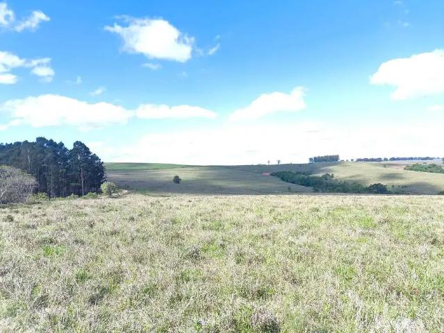 Fazenda venda em Região Imediata de Itapeva, Itaporanga