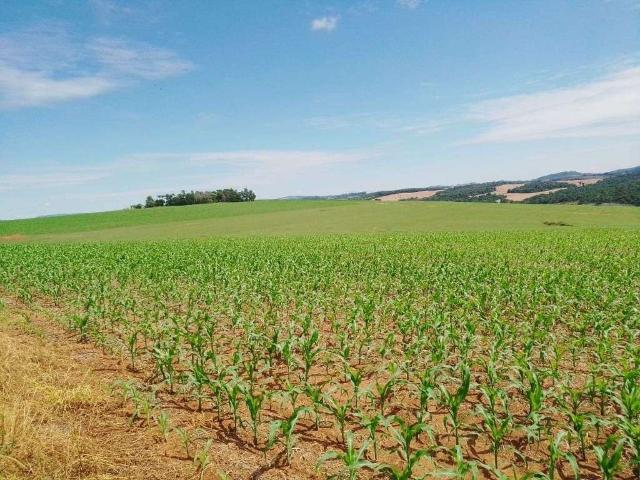 Fazenda venda em Região Imediata de Registro, Iporanga