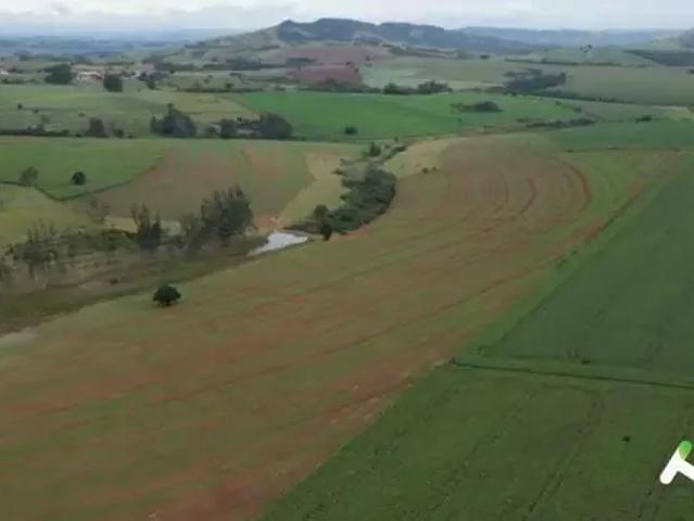 Fazenda venda em Região Imediata de Itapeva, Itaporanga