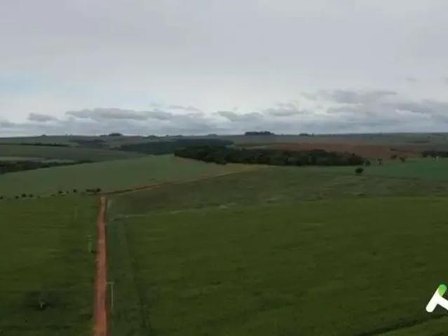 Fazenda venda em Região Imediata de Itapeva, Itaporanga