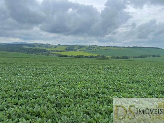 Fazenda venda em Região Imediata de Itapeva, Itaporanga