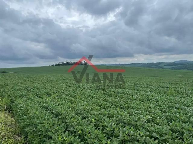 Fazenda venda em Região Imediata de Itapeva, Itaporanga