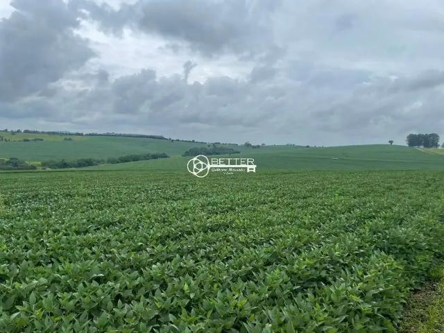 Fazenda venda em Região Imediata de Itapeva, Itaporanga